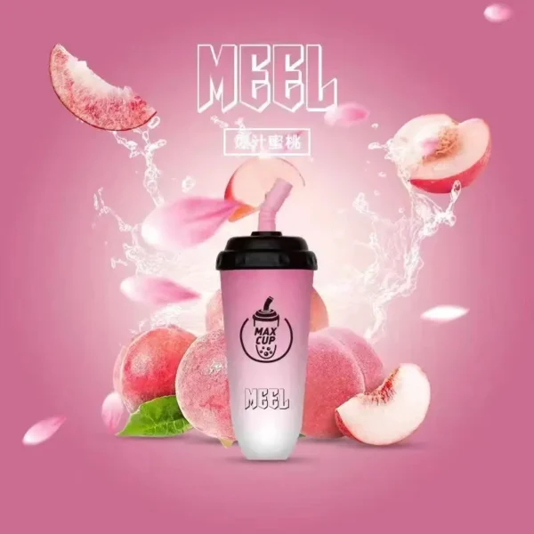 MEEL 奶茶杯 6000口 拋棄式電子煙｜3% 尼古丁鹽順滑不鎖喉 智慧 Type-C 快充 15ml 油量