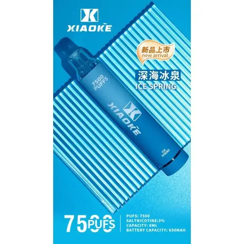 XIAOKE 梟客 7500口 拋棄式電子煙｜8ml大容量 650mAh大電池 支援Type-C高效快充 網狀霧化技術穩定輸出