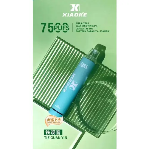 XIAOKE 梟客 7500口 拋棄式電子煙｜8ml大容量 650mAh大電池 支援Type-C高效快充 網狀霧化技術穩定輸出