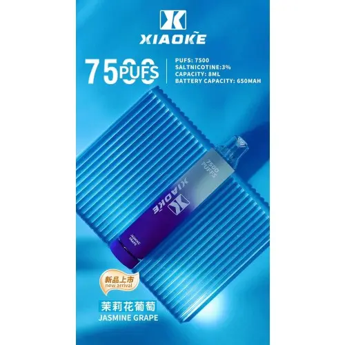 XIAOKE 梟客 7500口 拋棄式電子煙｜8ml大容量 650mAh大電池 支援Type-C高效快充 網狀霧化技術穩定輸出