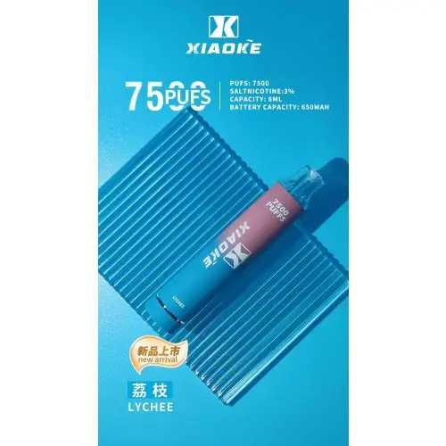 XIAOKE 梟客 7500口 拋棄式電子煙｜8ml大容量 650mAh大電池 支援Type-C高效快充 網狀霧化技術穩定輸出