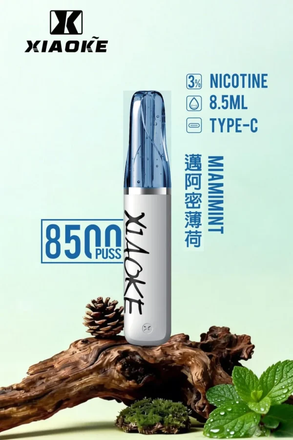 XIAOKE 梟客 8500口｜8.5ml儲油量 3%尼古丁鹽 支援Type-C充電 拋棄式電子煙