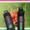 MEEL Marbo 旗艦級 9000口 拋棄式電子煙｜14ml 巨量油倉 Mesh 網芯強效霧化