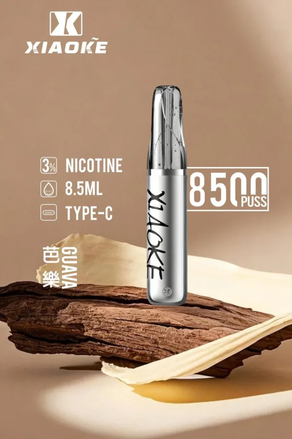 XIAOKE 梟客 8500口｜8.5ml儲油量 3%尼古丁鹽 支援Type-C充電 拋棄式電子煙