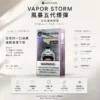 ChatGPT-Image-2026年8月25日-下午10_07_26.webp VAPOR STORM 風暴 五代通用煙彈|2ml 激爽配方不嗆喉 陶瓷網芯防漏升級 3% 尼古丁鹽極致濃郁 通用五代主機