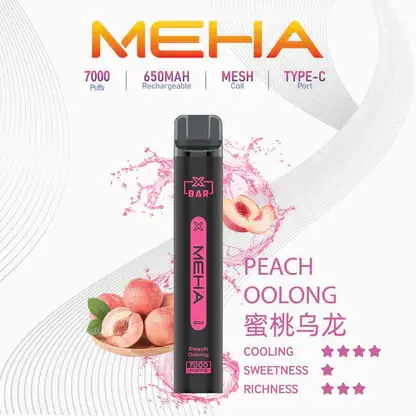 MEHA-XBAR-拋棄式-7000口小黑條-14.webp MEHA XBAR 魅嗨 小黑條 7000口 抛棄式電子煙|Mesh芯爆發力強 3%尼古丁鹽黃金配方 極強冰感體驗 650mAh大電量可充電長效續航
