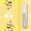 Mist X 鴨嘴獸 6500口 抛棄式電子煙｜550mAh大電量可充電續航 2%尼古丁鹽 冰爽水果口味清涼入喉 獨家萌系外觀