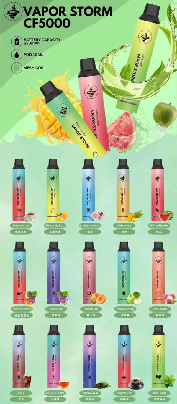VAPOR STORM 風暴 5000口 拋棄式電子煙｜金屬質感機身 10ml大容量 Mesh 芯強勁霧化 650mAh 可充電續航