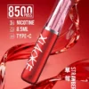 XIAOKE 梟客 8500口｜8.5ml儲油量 3%尼古丁鹽 支援Type-C充電 拋棄式電子煙
