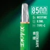 XIAOKE 梟客 8500口｜8.5ml儲油量 3%尼古丁鹽 支援Type-C充電 拋棄式電子煙