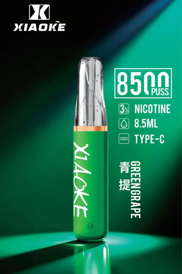 XIAOKE 梟客 8500口｜8.5ml儲油量 3%尼古丁鹽 支援Type-C充電 拋棄式電子煙