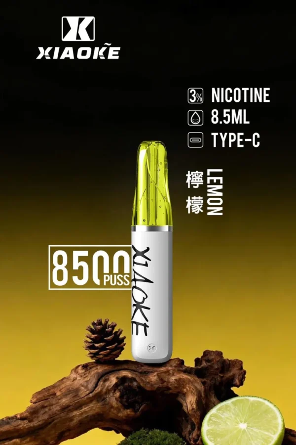 XIAOKE 梟客 8500口｜8.5ml儲油量 3%尼古丁鹽 支援Type-C充電 拋棄式電子煙