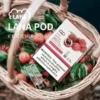 image-289.webp LANA 一代通用煙彈|吸氣即亮炫彩特效 2.5ml三顆裝大容量 升級陶瓷芯純淨口感 通用一代主機