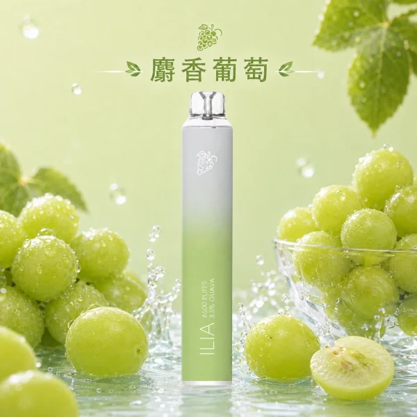 image-75.webp ILIA 哩亞 Bar4 6500口|13ml大容量 獨家不漏油順滑霧化 水果冰系多口味 支援Type-C充電 拋棄式電子煙